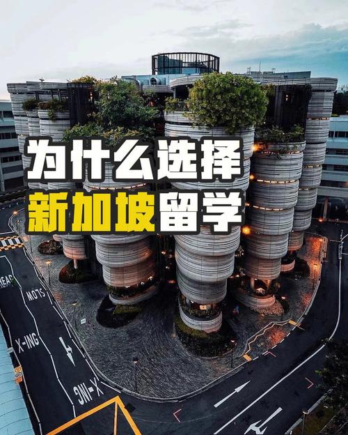 新加坡留学新政策解析