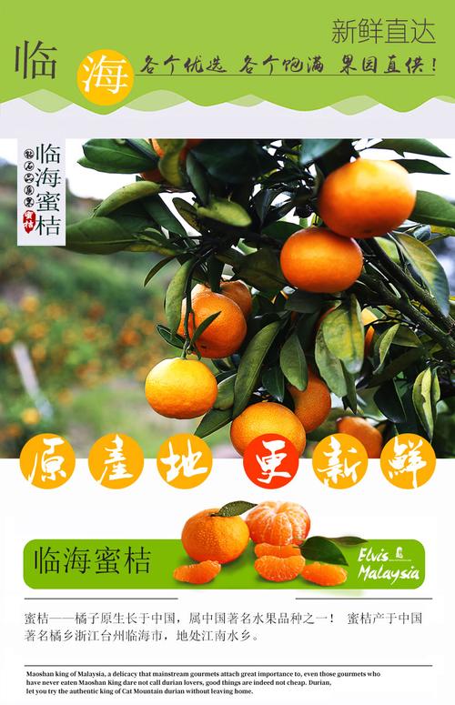 桔子理财最新新闻