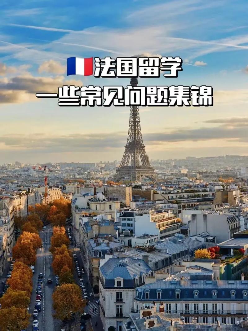 法国留学生回国就业前景