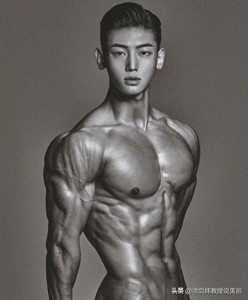 健美男比赛视频