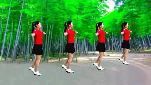 简单易学的健美操舞蹈动作分解