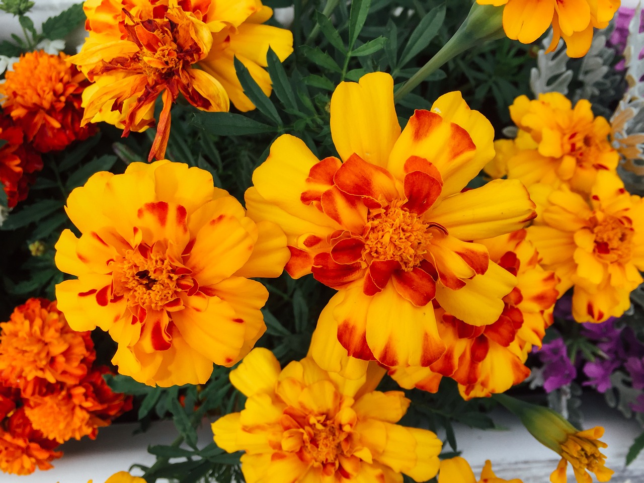 教师节特辑，用心挑选，让这份爱意传递——教师节花束的那些事儿