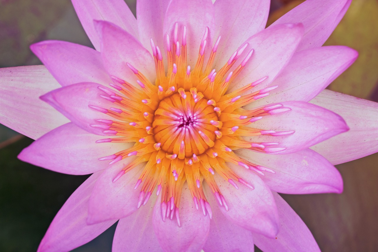 六一儿童节简笔画大全图片