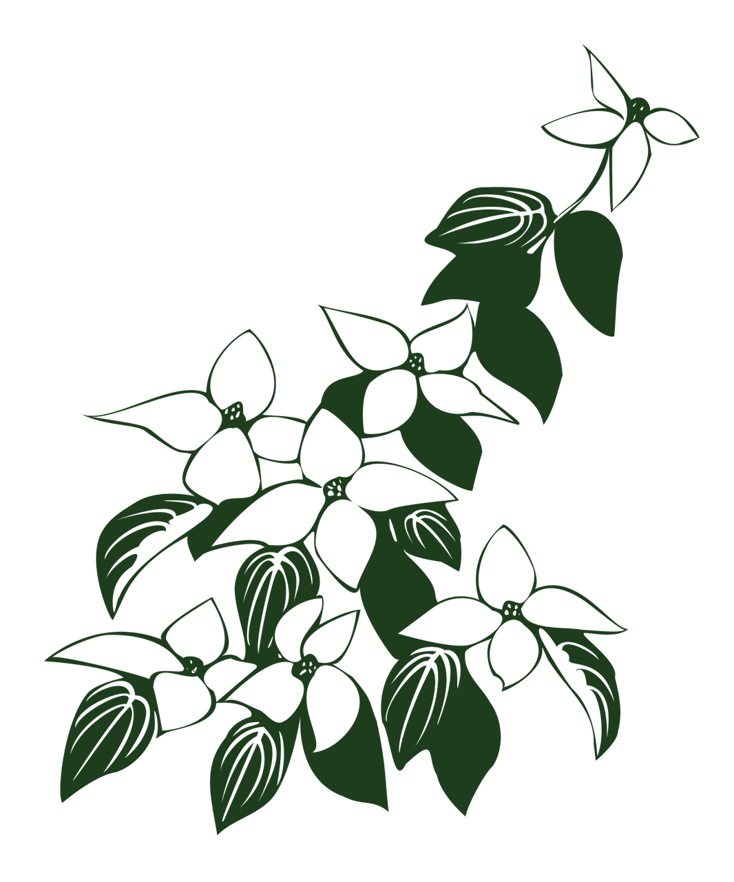 植树节简笔画，用简单的线条描绘绿色希望
