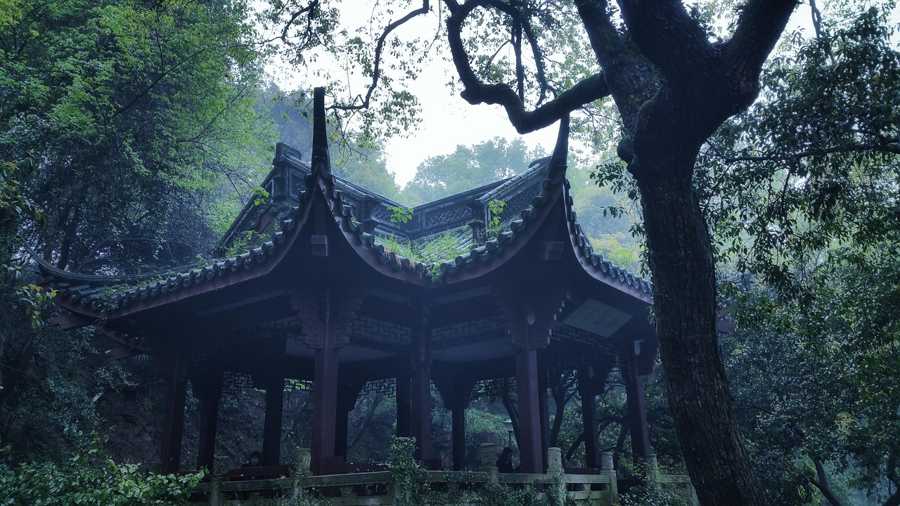 感受传统与现代的交融