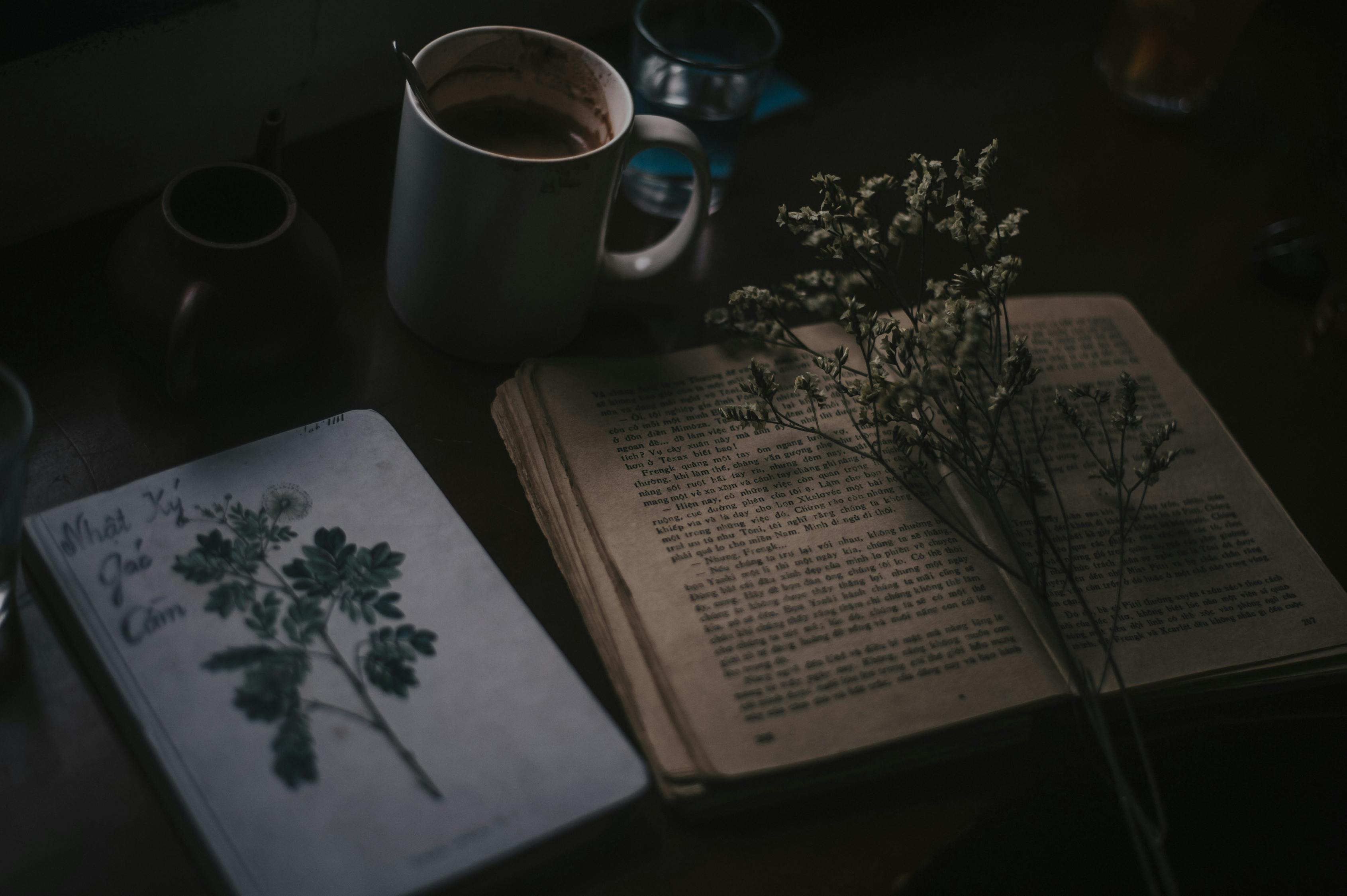 生活智慧锦囊，日常小常识的写作指南